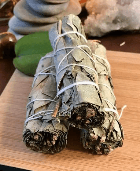 Eucalyptus Smudge Stick - SpiritualClout